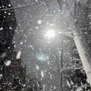 6P群体交乱男男群交
